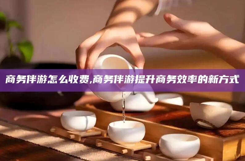 定州商务伴游怎么收费,商务伴游提升商务效率的新方式