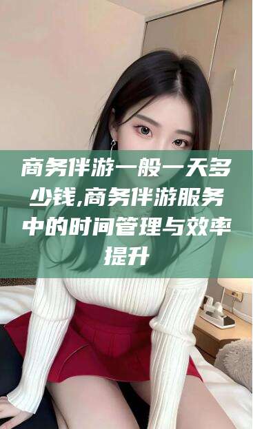 定州商务伴游一般一天多少钱,商务伴游服务中的时间管理与效率提升